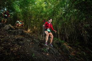 BIB: 
                            <button type="button" onclick="openModal(25102252)" class="btn btn-primary btn-sm float-right btn-popup" data-toggle="modal" data-target=".modal-high-quality">
                        <i class="fas fa-shopping-cart"></i> Add to Cart
                    </button>
                                            <button type="button" onclick="isThisMe(25102252, true)" class="btn btn-success btn-sm float-right btn-popup btn-isme hidden" data-toggle="tooltip" data-placement="bottom" title="นี่คือรูปของคุณใช่ไหม คลิกที่นี่เพื่อเอาเข้าอัลบั้ม">
                        <i class="fas fa-plus"></i> Add to album
                    </button>
                    <button type="button" onclick="isThisMe(25102252, false)" class="btn btn-warning btn-sm float-right btn-popup btn-isnotme hidden">
                        <i class="fas fa-ban"></i> Remove from album
                    </button>